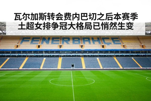 瓦尔加斯转会费内巴切之后本赛季土超女排争冠大格局已悄然生变
