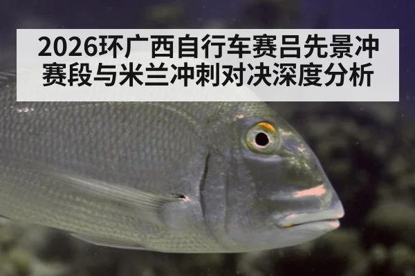 2026环广西自行车赛吕先景冲赛段与米兰冲刺对决深度分析